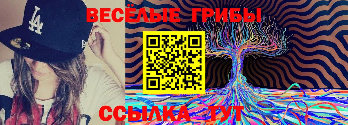 Назрань  Галлюциногенные грибы Psilocybe  Псилоцибиновые грибы Cubensis  Вход с VPN 