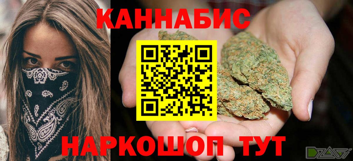 Бошки Шишки план Назрань